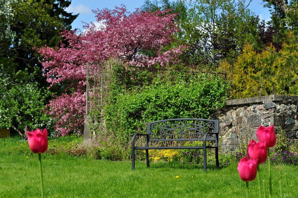 Mokko Country Hotel Palamuse Exteriér fotografie